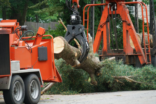 Best Weed Control  in Cresson, PA